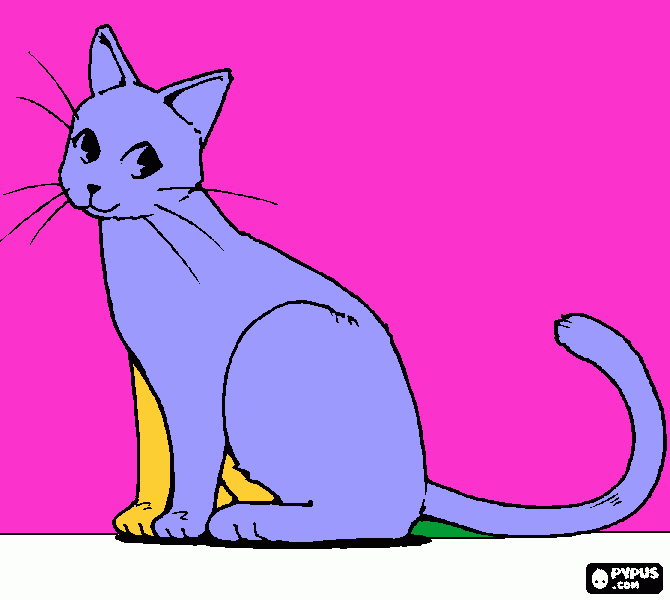 Omalovánka Kočička Modráska