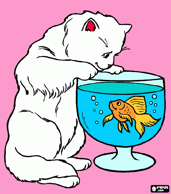 Omalovánka Kočička rybička