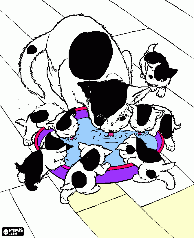 Omalovánka Kočičky