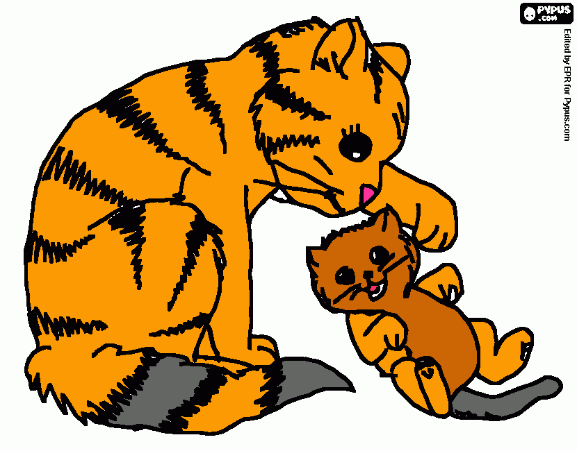 Omalovánka kočka a kotě