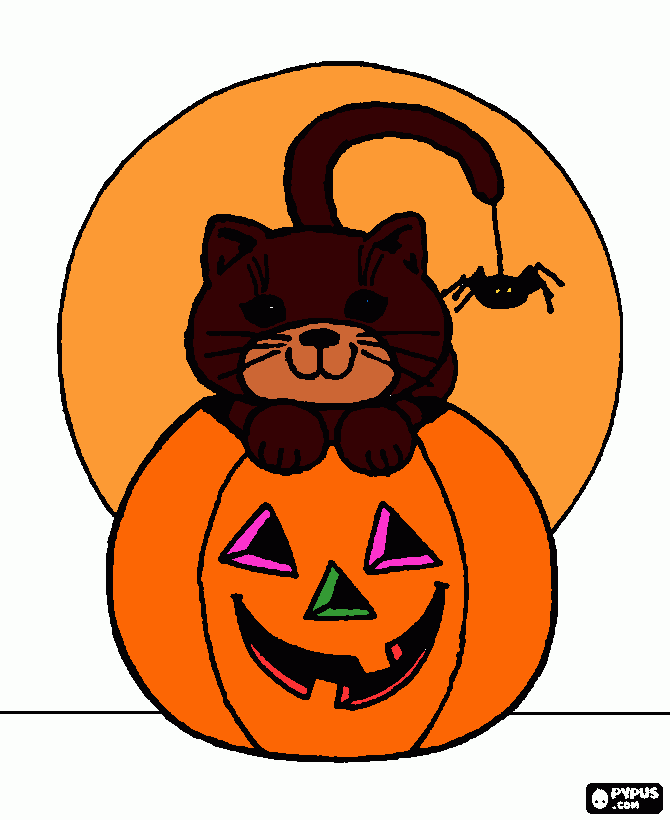 Omalovánka kočka helowenn