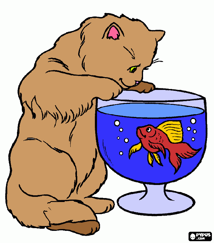 Omalovánka Kočka s rybou