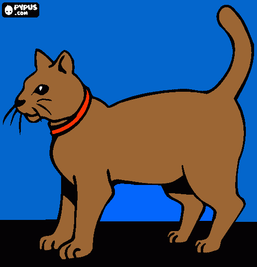 Omalovánka kočka-šelma