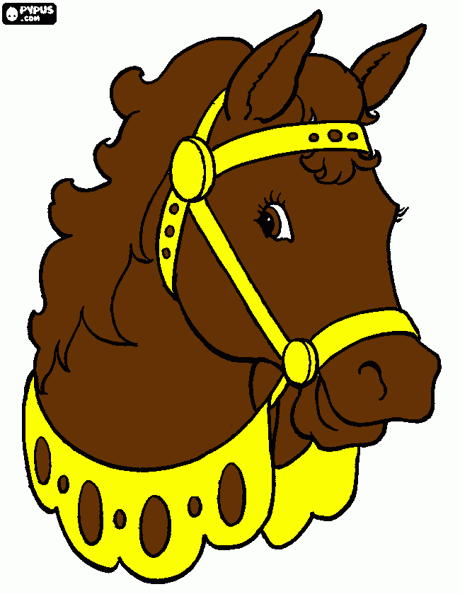 Omalovánka koňská princezna lili