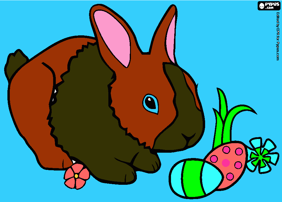 Omalovánka KOŠNAROVÁ