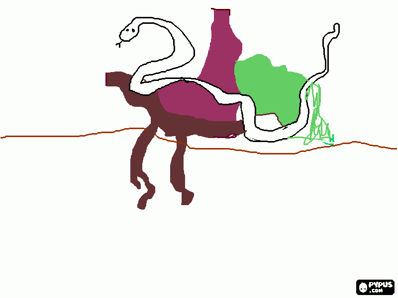 Omalovánka krajta kobercová