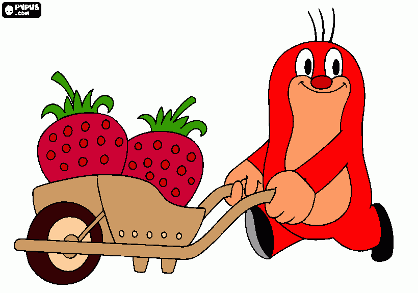 Omalovánka krtek a jahody červená