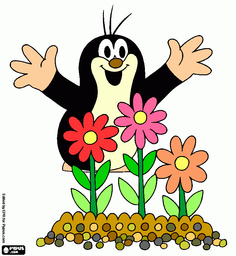 Omalovánka krtek a kytka