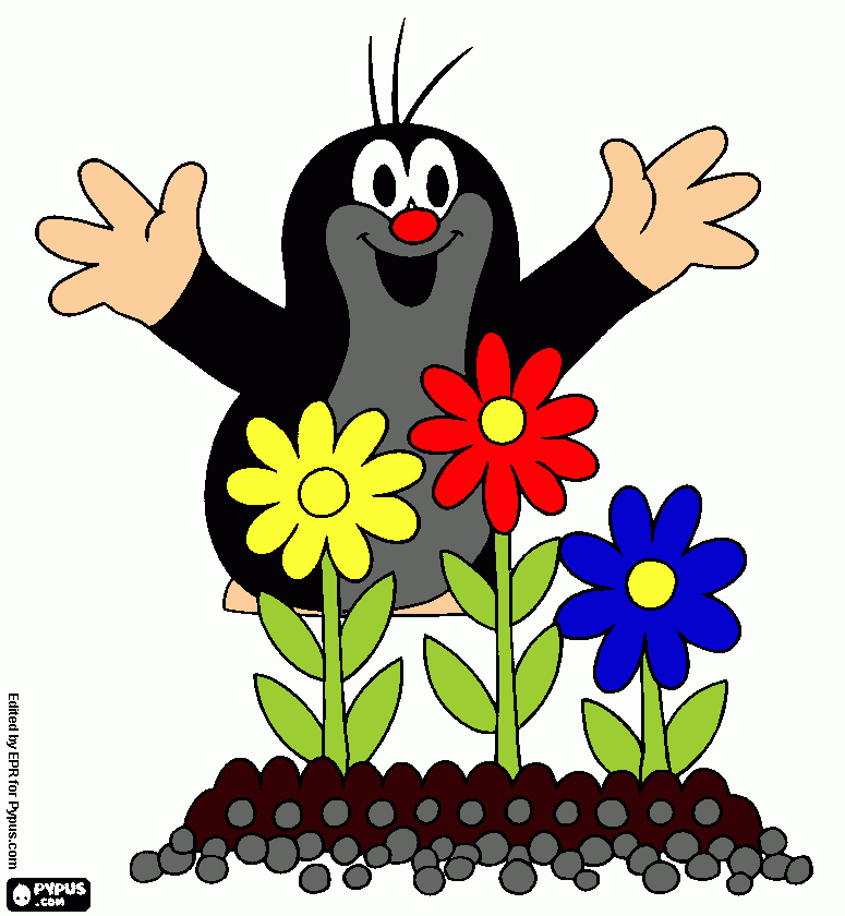 Omalovánka krtek s květinami