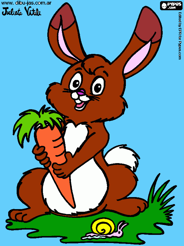 Omalovánka králíček s mrkví a šnek