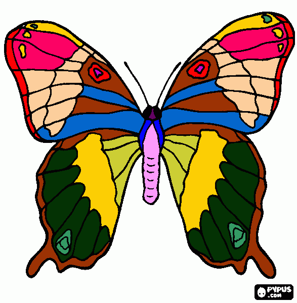 Omalovánka kubko motyl