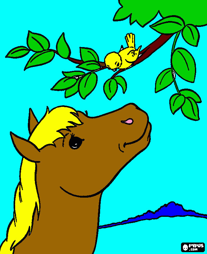 Omalovánka kun a ptacek