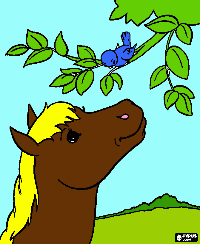 Omalovánka kun a ptak