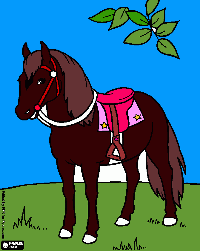 Omalovánka kun ze sedlem