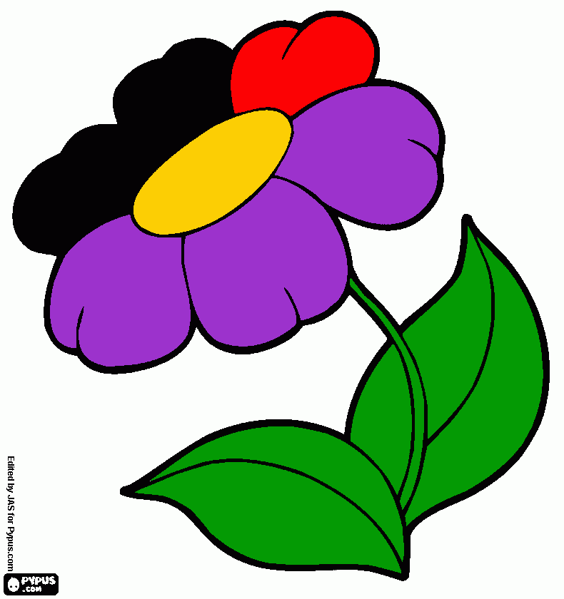 Omalovánka kvietok farebny