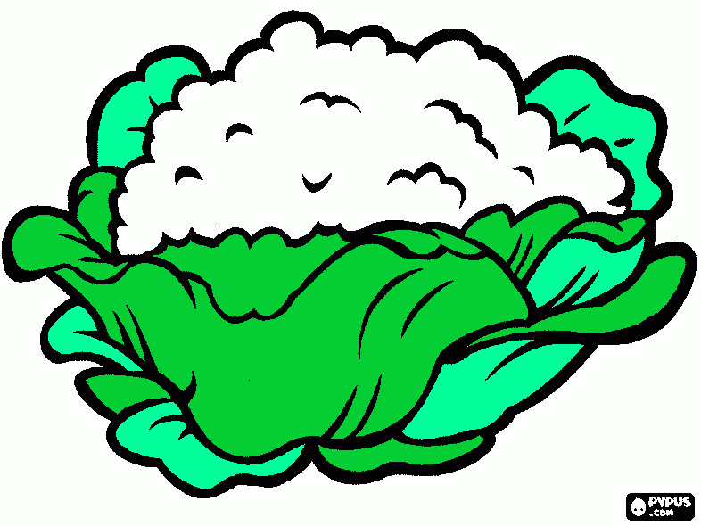 Omalovánka květák