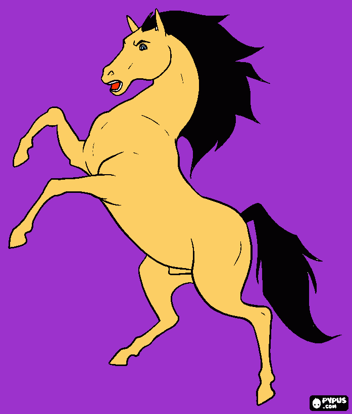 Omalovánka kůn z spirit divoký hřebec