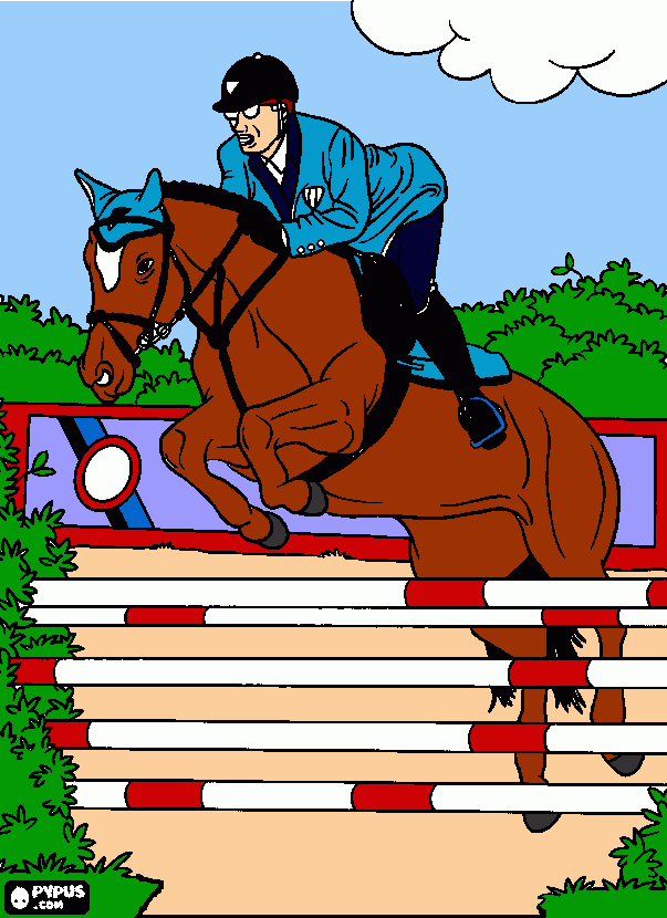 Omalovánka kůň cifr