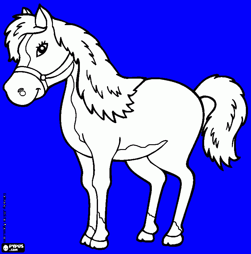 Omalovánka kůň omalovánka