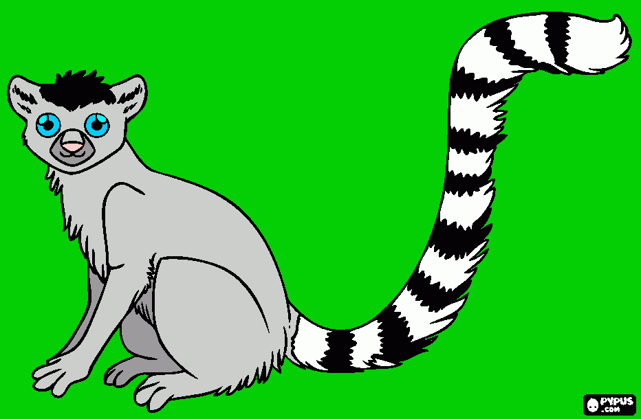 Omalovánka Lemur kata