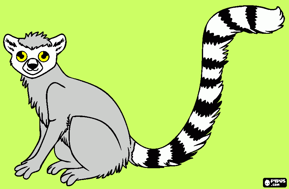 Omalovánka lemur