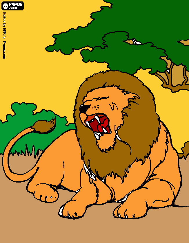 Omalovánka lev pod stromy