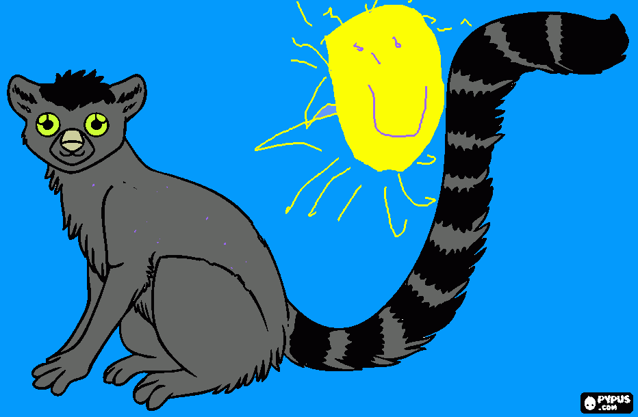 Omalovánka Lukasek dokreslil lemurovi slunicko