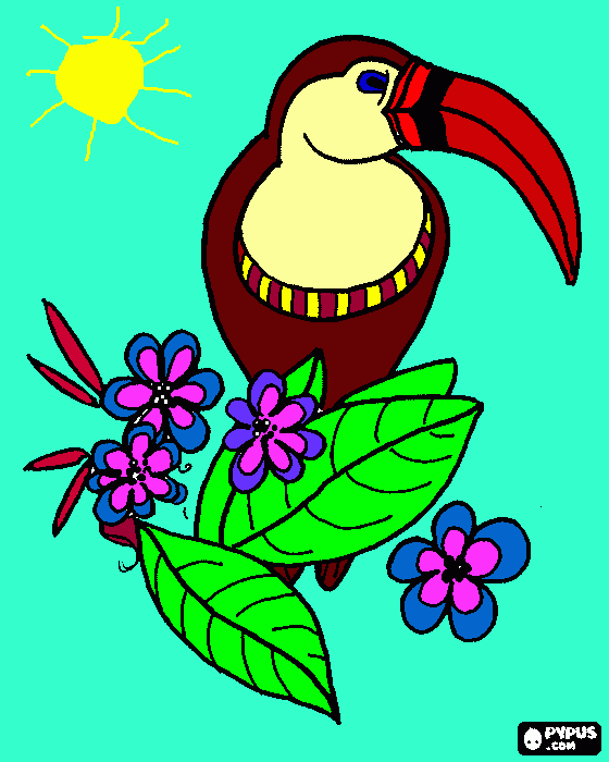 Omalovánka Lukaskuv TUKAN pro babicku a Aju