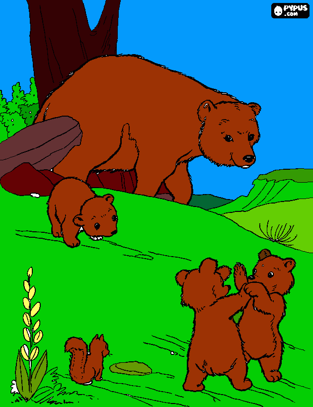 Omalovánka mackovia