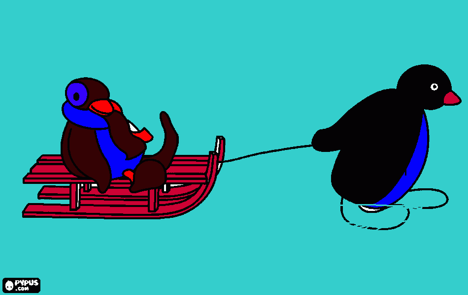 Omalovánka maly a pingu