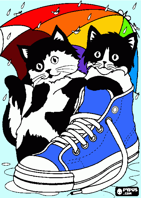 Omalovánka malé kotě ,bydlí v botě