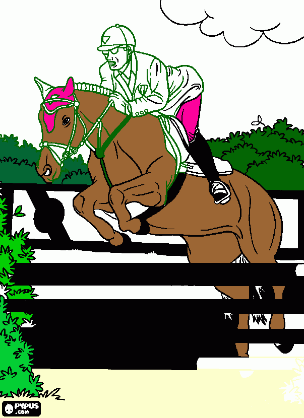 Omalovánka mastinec stullerova