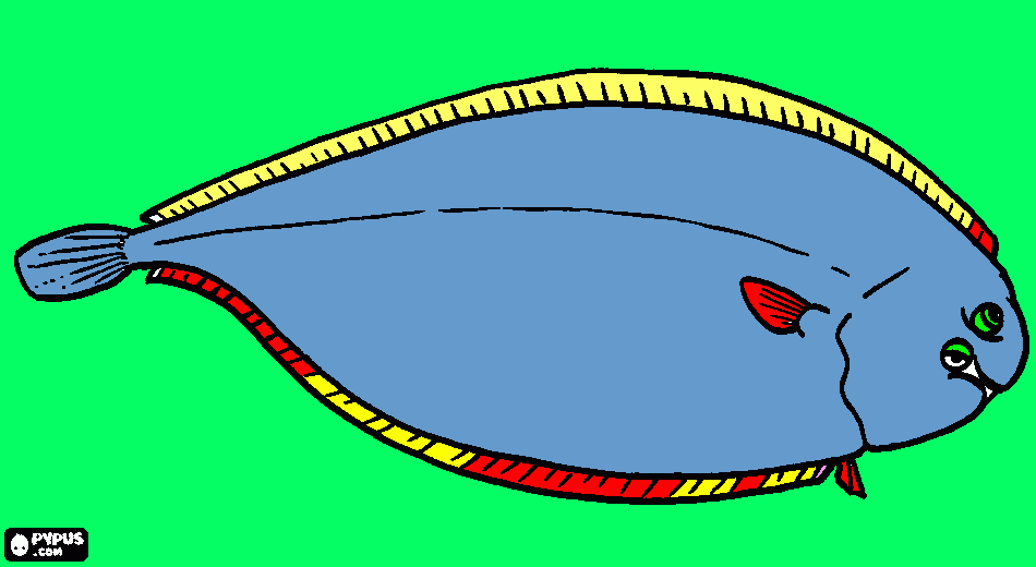 Omalovánka maty rxba