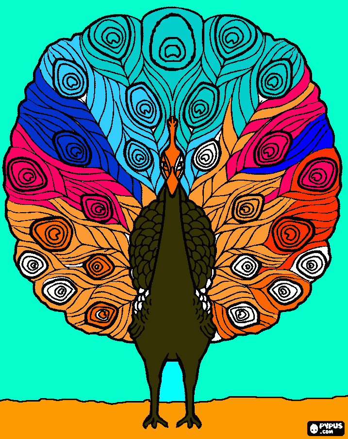 Omalovánka Matyho páv