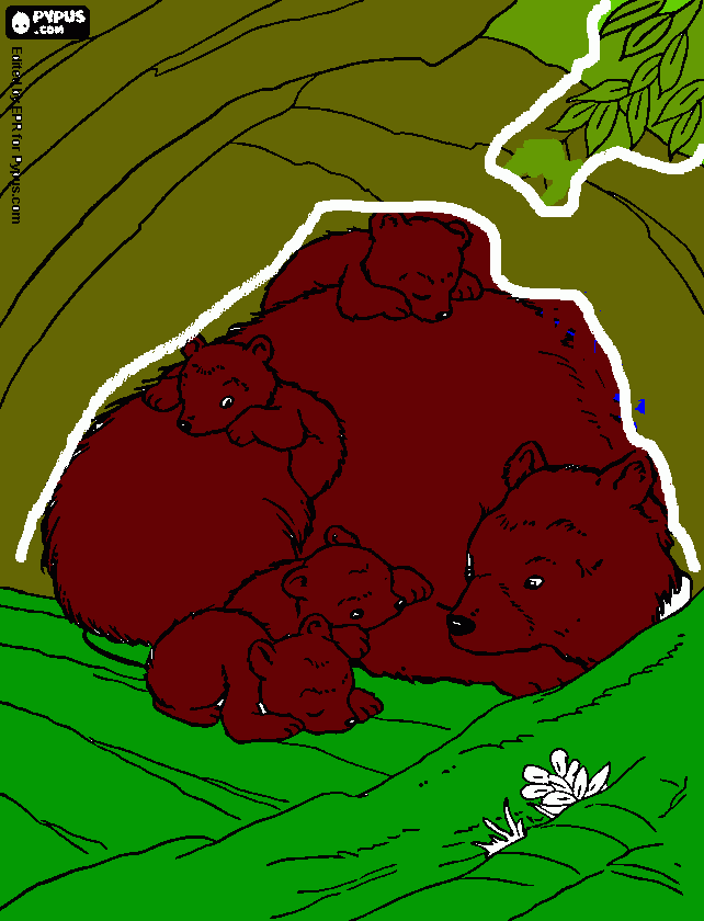 Omalovánka medvěd od kristíka