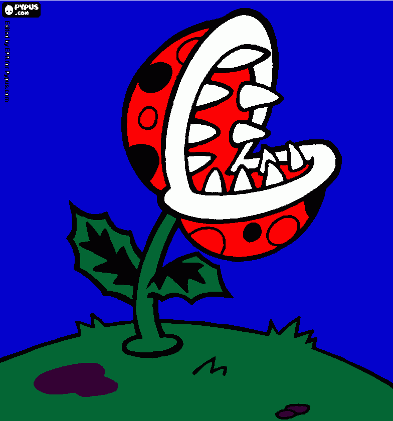 Omalovánka meso žrava rastlina