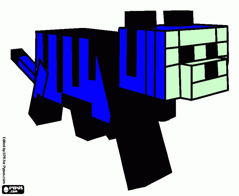 Omalovánka Minecraft gepard