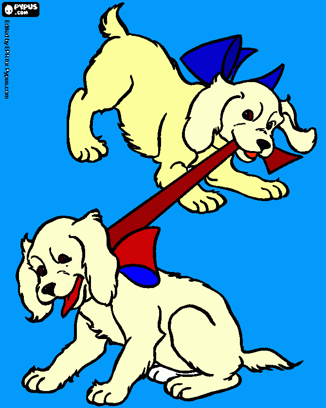 Omalovánka mišulinka a rijenka