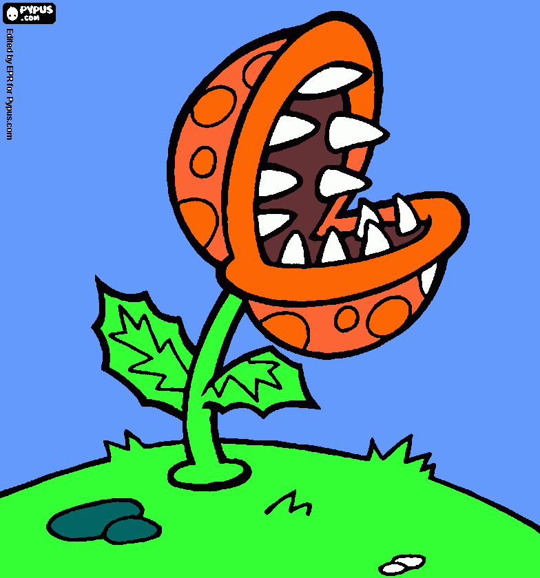 Omalovánka moje masožravka