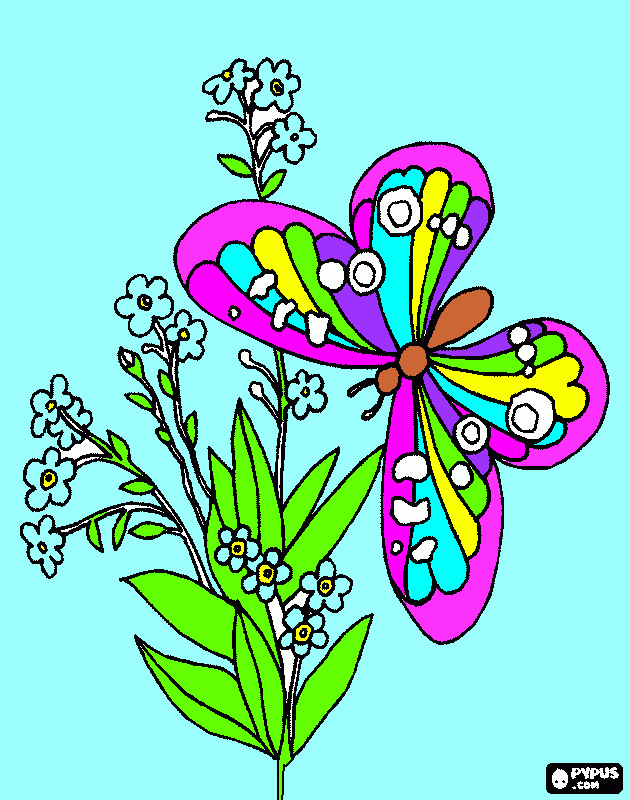 Omalovánka motílek