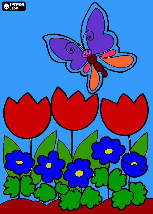 Omalovánka motýl na louce