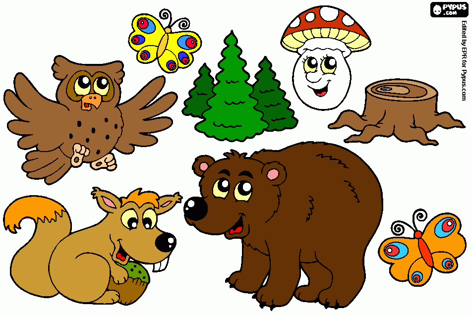 Omalovánka motýli, medvěd, sova, veverka atd.