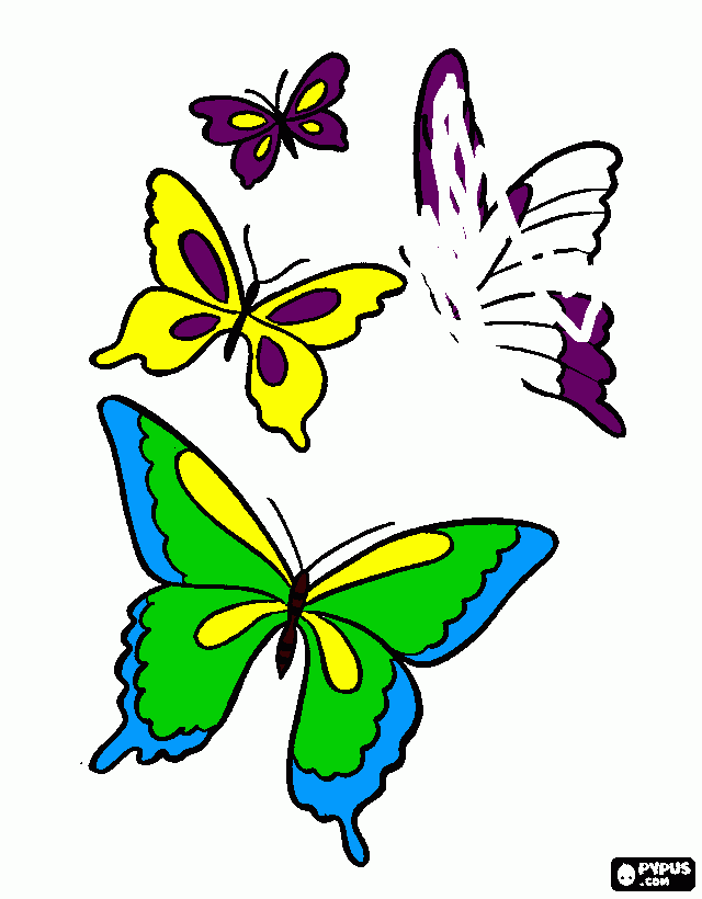 Omalovánka motýli