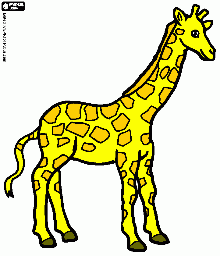 Omalovánka Máme žirafu...