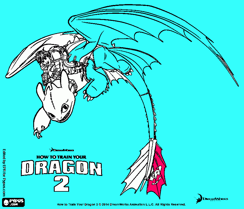 Omalovánka nocni des