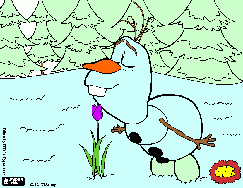 Omalovánka Olaf s kytičkou