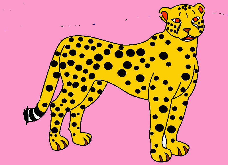 Omalovánka Omalovánka Gepard štíhlý, nejrychlejší suchozemské zvíře dosáhne 115 km/h