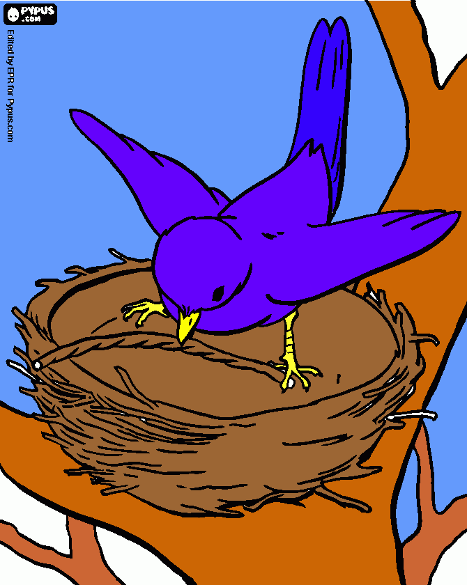 Omalovánka Omalovánka pro babi