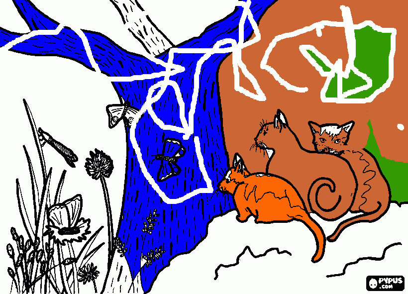 Omalovánka omalovánky - kočičky od Kamilky