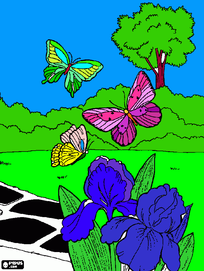 Omalovánka omálovanka-tři-motýly-létání-kolem-zahrady